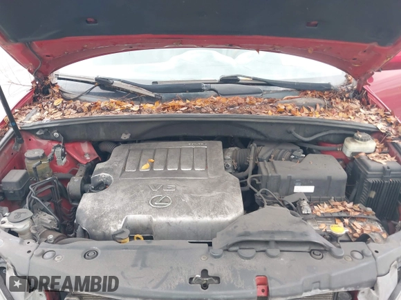 2009 Lexus RX 350 with VIN 2T2GK31U09C080751, listed as a IAAI auction lot 42230117 with 254,034 mi miles and . Bid and sale history available at DreamBid. Image 10.