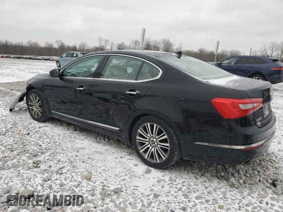 2014 Kia Cadenza Premium with VIN KNALN4D75E5145832, listed as a Copart auction lot 47038625 with 120,013 mi miles and Salvage Title. Bid and sale history available at carsss.com. Image 2.