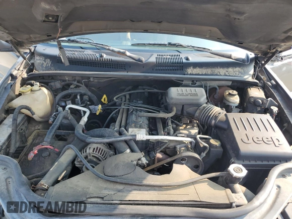 1999 Jeep Grand Cherokee Laredo with VIN 1J4G258S9XC731752, listed as a Copart auction lot 58601555 with 245,284 mi miles and Salvage title. Bid and sale history available at DreamBid. Image 11.