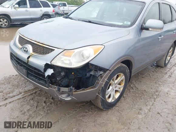 2007 Hyundai Veracruz GLS z VIN KM8NU13C17U011271, wystawiony jako IAAI lot #42329686 z przebiegiem 268 999 mil mil oraz . Historia ofert i sprzedaży dostępna na DreamBid. Obrazek 6.