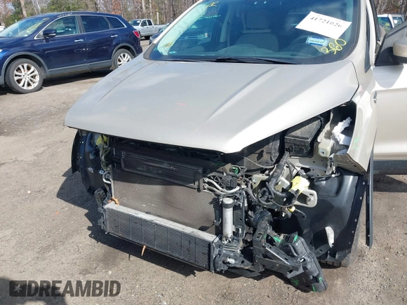 2017 Ford Escape SE with VIN 1FMCU0GDXHUD65232, listed as a IAAI auction lot 41721026 with 79,582 mi miles. Bid and sale history available at carsss.com. Image 6.