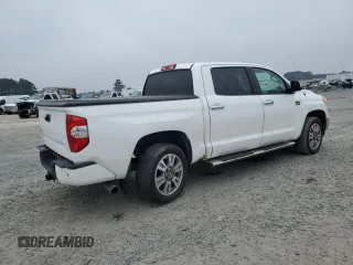 2017 Toyota Tundra Platinum with VIN 5TFAW5F14HX625312, listed as a Copart auction lot 46787695 with 261,194 mi miles and Salvage title. Bid and sale history available at DreamBid. Image 3.