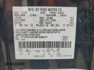 2009 Ford F-150 XL with VIN 1FTPW14V39FA46411, listed as a Copart auction lot 60041665 with 267,792 mi miles and Salvage title. Bid and sale history available at DreamBid. Image 12.