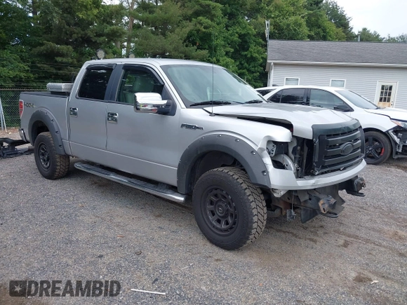 2010 Ford F-150 XL with VIN 1FTEW1E84AFC53524, listed as a IAAI auction lot 39987417 with 196,071 mi miles and . Bid and sale history available at DreamBid. Image 1.