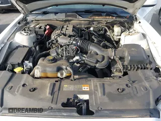 2013 Ford Mustang V6 with VIN 1ZVBP8AM1D5254018, listed as a IAAI auction lot 42738081 with 231,643 mi miles and . Bid and sale history available at DreamBid. Image 10.