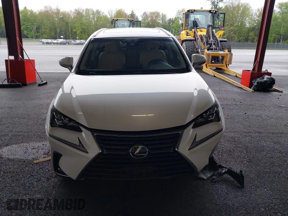 2019 Lexus NX 300 с VIN JTJBARBZ2K2183055, выставлен на аукционе IAAI как лот 42244828 с пробегом 89 589 миль миль и . История ставок и продаж доступна на DreamBid. Изображение 13.