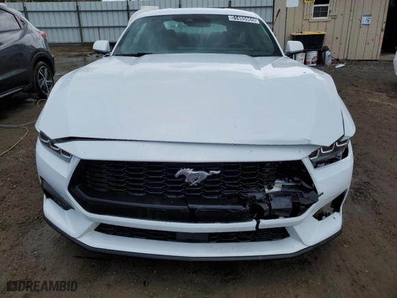 2024 Ford Mustang EcoBoost with VIN 1FA6P8TH7R5117070, listed as a Copart auction lot 51465965 with 25,239 mi miles and Salvage Title. Bid and sale history available at carsss.com. Image 5.