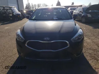 2014 Kia Cadenza Premium with VIN KNALN4D79E5144893, listed as a Copart auction lot 42008235 with 153,009 mi miles and Clean Title. Bid and sale history available at carsss.com. Image 5.