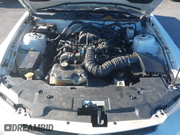 2010 Ford Mustang V6 with VIN 1ZVBP8AN5A5131407, listed as a IAAI auction lot 42168094 with 231,547 mi miles and . Bid and sale history available at DreamBid. Image 10.