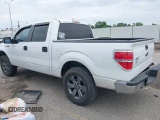 2009 Ford F-150 XL z VIN 1FTRW12819FA59776, wystawiony jako IAAI lot #42045179 z przebiegiem 193 228 mil mil oraz . Historia ofert i sprzedaży dostępna na DreamBid. Obrazek 3.