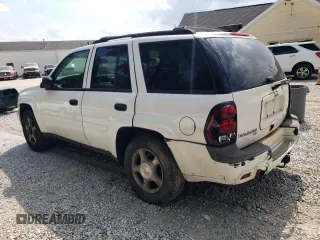 2006 Chevrolet TrailBlazer LS with VIN 1GNDT13S362357608, listed as a Copart auction lot 68828434 with 173,608 mi miles and Salvage Title. Bid and sale history available at DreamBid. Image 2.