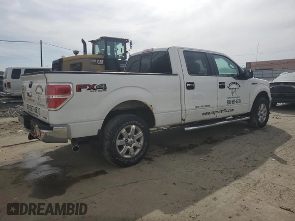 2013 Ford F-150 XL with VIN 1FTFW1EF9DKE66144, listed as a Copart auction lot 58134795 with 150,726 mi miles and Salvage title. Bid and sale history available at DreamBid. Image 3.