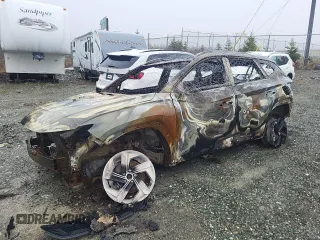2023 Hyundai Tucson with VIN KM8JDDA24PU113111, listed as a Copart auction lot 52094605 with Not provided miles and Non repairable. Bid and sale history available at DreamBid. Image 1.