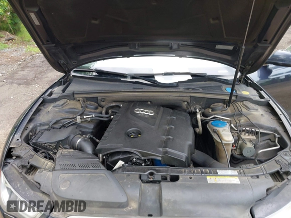 2016 Audi A5 Premium with VIN WAUD2AFR5GA029499, listed as a IAAI auction lot 42480497 with 197,496 mi miles and . Bid and sale history available at DreamBid. Image 10.