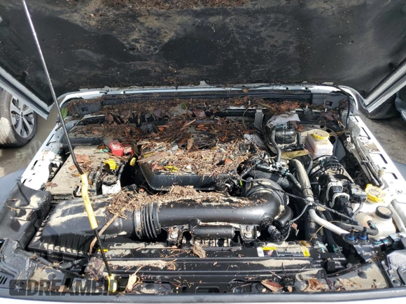 2024 Jeep Wrangler Sport S z VIN 1C4PJXAN9RW136328, wystawiony jako Copart lot #73871304 z przebiegiem Nie podano mil oraz Nie do naprawy • Non repairable. Historia ofert i sprzedaży dostępna na DreamBid. Obrazek 11.