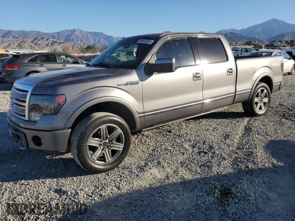 2009 Ford F-150 XL with VIN 1FTPW14V39FB05831, listed as a Copart auction lot 85943924 with 133,893 mi miles and Salvage title. Bid and sale history available at DreamBid. Image 1.