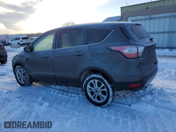 2017 Ford Escape SE with VIN 1FMCU0GD8HUE14993, listed as a Copart auction lot 87868485 with 118,768 mi miles and Salvage Title. Bid and sale history available at carsss.com. Image 2.