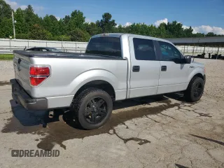 2009 Ford F-150 XL with VIN 1FTRW12WX9FB19889, listed as a Copart auction lot 60272775 with 155,783 mi miles and Salvage title. Bid and sale history available at DreamBid. Image 3.