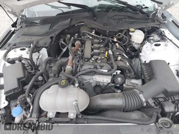 2023 Ford Mustang EcoBoost с VIN 1FA6P8TH2P5110069, выставлен на аукционе IAAI как лот 41941535 с пробегом Не указан миль и . История ставок и продаж доступна на DreamBid. Изображение 10.