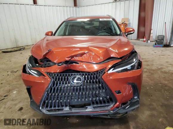 2023 Lexus NX with VIN 2T2GDCAZ3PC003990, listed as a Copart auction lot 78813924 with 6,282 mi miles and Clean Title. Bid and sale history available at carsss.com. Image 5.
