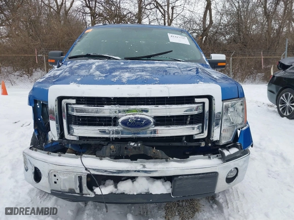 2014 Ford F-150 XL with VIN 1FTMF1CM4EKE36883, listed as a IAAI auction lot 41317737 with 50,667 mi miles. Bid and sale history available at carsss.com. Image 13.