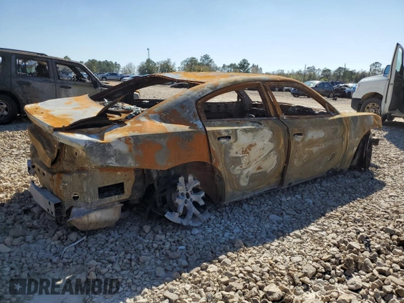 2019 Dodge Charger SXT with VIN 2C3CDXBG9KH745286, listed as a Copart auction lot 48289265 with Not Provided miles and Non Repairable. Bid and sale history available at carsss.com. Image 3.