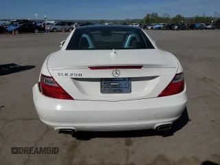 2014 Mercedes-Benz SLK 250 with VIN WDDPK4HA1EF081565, listed as a Copart auction lot 54008025 with 87,808 mi miles and Salvage title. Bid and sale history available at DreamBid. Image 6.