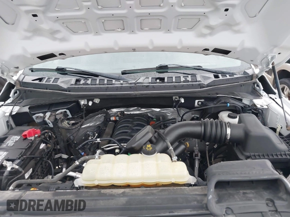 2019 Ford F-150 XL with VIN 1FTFX1E52KKD85150, listed as a IAAI auction lot 42124342 with 122,760 mi miles. Bid and sale history available at carsss.com. Image 10.
