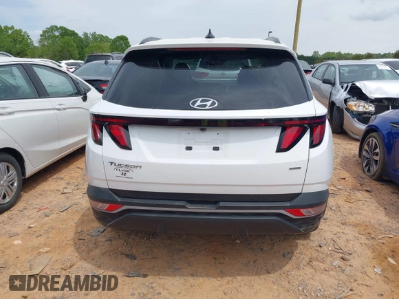 2024 Hyundai Tucson SEL with VIN 5NMJBCDE0RH301466, listed as a IAAI auction lot 42010181 with 8,221 mi miles. Bid and sale history available at carsss.com. Image 16.