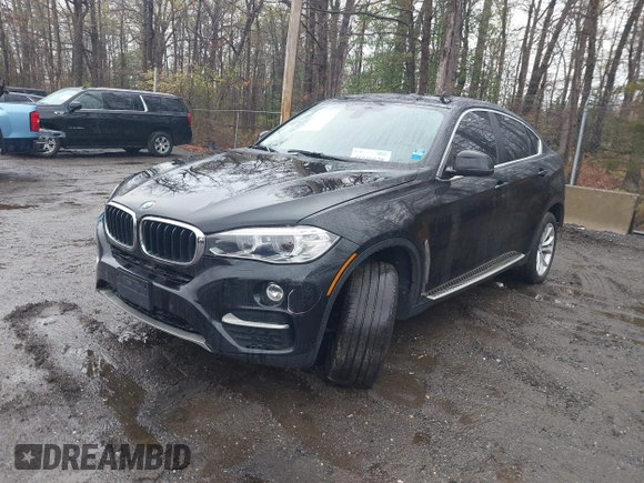 2015 BMW X6 xDrive35i with VIN 5UXKU2C53F0N76799, listed as a IAAI auction lot 41946628 with 173,607 mi miles. Bid and sale history available at carsss.com. Image 18.
