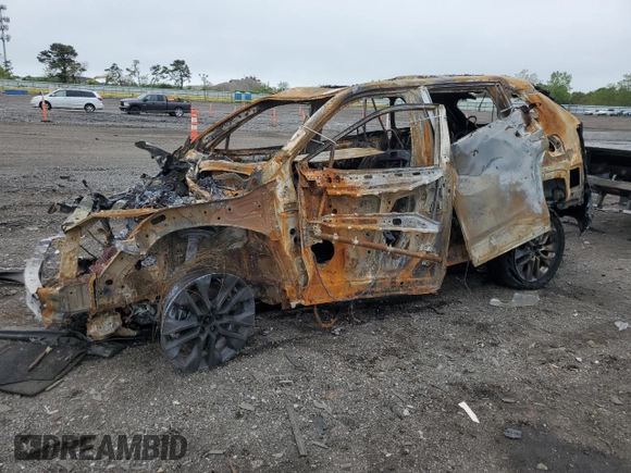 2023 Toyota RAV4 XLE Premium with VIN JTMA1RFV7PJ041903, listed as a Copart auction lot 56928875 with Not provided miles and Salvage title. Bid and sale history available at DreamBid. Image 1.