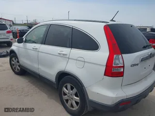 2009 Honda CR-V EX-L with VIN JHLRE38729C013942, listed as a IAAI auction lot 41732770 with 222,099 mi miles. Bid and sale history available at carsss.com. Image 3.