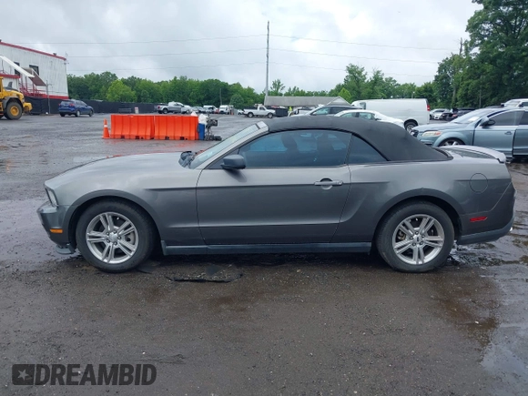 2011 Ford Mustang V6 with VIN 1ZVBP8EM2B5142545, listed as a IAAI auction lot 42667556 with 138,177 mi miles and . Bid and sale history available at DreamBid. Image 14.