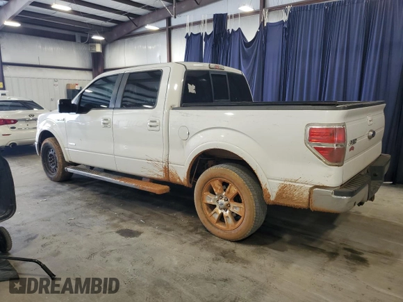 2013 Ford F-150 XL with VIN 1FTFW1CT0DKF02585, listed as a Copart auction lot 44122995 with 210,794 mi miles and Salvage Title. Bid and sale history available at carsss.com. Image 2.