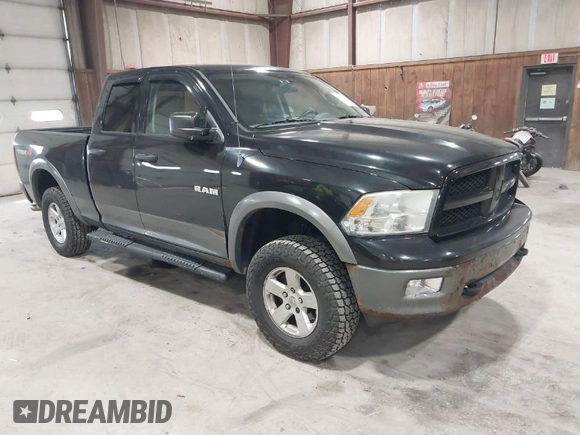 2010 Dodge 1500 SLT with VIN 1D7RV1GP9AS133739, listed as a IAAI auction lot 41935213 with 293,043 mi miles and . Bid and sale history available at DreamBid. Image 1.