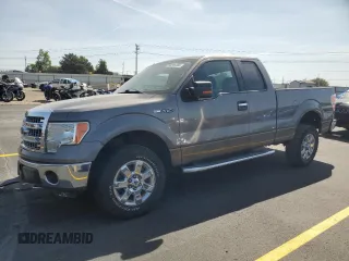 2013 Ford F-150 XL with VIN 1FTFX1EF9DFA70432, listed as a Copart auction lot 58046385 with 94,224 mi miles and Salvage title. Bid and sale history available at DreamBid. Image 1.