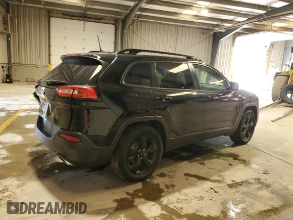 2017 Jeep Cherokee Limited with VIN 1C4PJMDS1HW625269, listed as a Copart auction lot 57131095 with 113,063 mi miles and Salvage title. Bid and sale history available at DreamBid. Image 3.