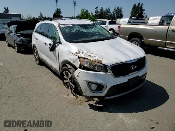 2018 Kia Sorento EX with VIN 5XYPHDA53JG397787, listed as a Copart auction lot 54276155 with 114,652 mi miles and Salvage title. Bid and sale history available at DreamBid. Image 13.