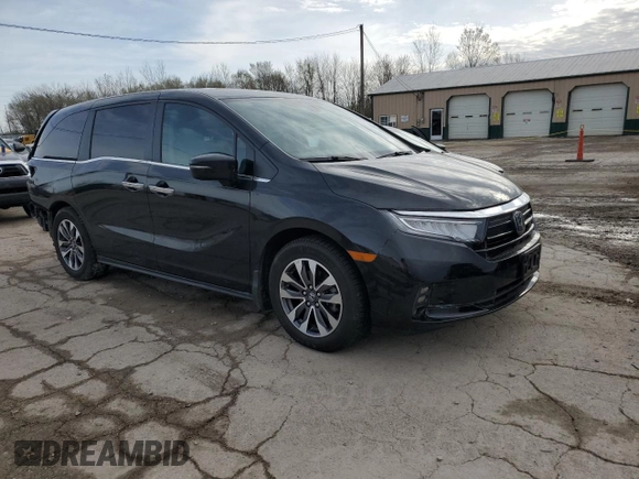 2022 Honda Odyssey EX-L with VIN 5FNRL6H70NB031177, listed as a Copart auction lot 51262515 with 53,629 mi miles and Salvage Title. Bid and sale history available at DreamBid. Image 4.