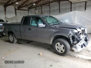 2013 Ford F-150 XL with VIN 1FTEX1CM0DFB34953, listed as a Copart auction lot 54591845 with Not provided miles and Salvage title. Bid and sale history available at DreamBid. Image 4.