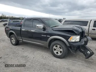 2010 Dodge 1500 TRX with VIN 1D7RV1GT3AS116223, listed as a Copart auction lot 51526625 with 238,258 mi miles and Clean Title. Bid and sale history available at carsss.com. Image 4.