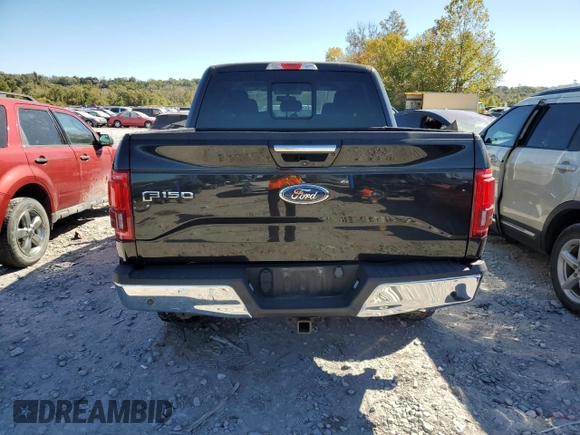 2015 Ford F-150 XLT with VIN 1FTEW1EG7FKE03972, listed as a Copart auction lot 76089394 with 101,694 mi miles and Salvage Title. Bid and sale history available at carsss.com. Image 6.