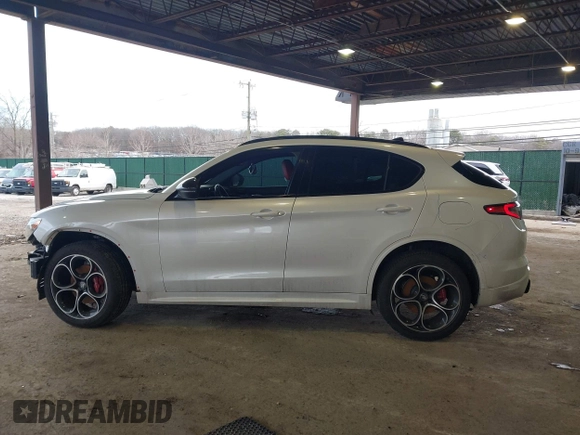 2021 Alfa Romeo Stelvio Ti z VIN ZASPAKBN3M7D13693, wystawiony jako IAAI lot #41584848 z przebiegiem 46 016 mil mil oraz . Historia ofert i sprzedaży dostępna na DreamBid. Obrazek 15.