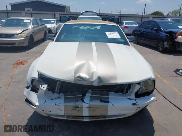 2006 Ford Mustang Standard with VIN 1ZVFT84N465107373, listed as a IAAI auction lot 42205471 with 60,598 mi miles and . Bid and sale history available at DreamBid. Image 12.