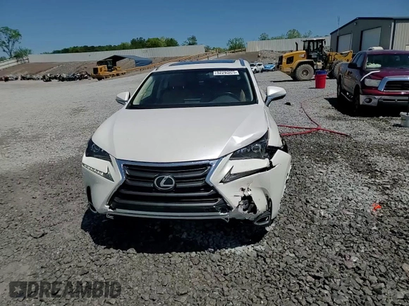 2017 Lexus NX 200t with VIN JTJYARBZ2H2080852, listed as a Copart auction lot 52293225 with 71,304 mi miles and Salvage Title. Bid and sale history available at DreamBid. Image 13.