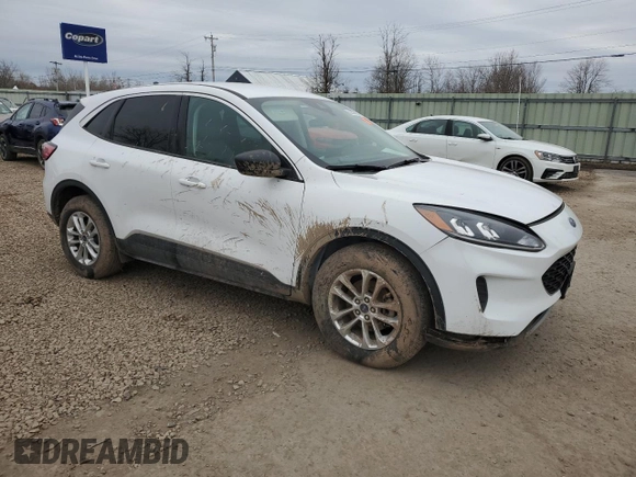 2022 Ford Escape SE with VIN 1FMCU9G61NUB14505, listed as a Copart auction lot 50307425 with 8,265 mi miles and Salvage title. Bid and sale history available at DreamBid. Image 4.