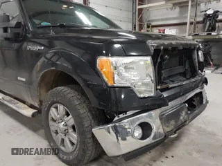 2012 Ford F-150 XL with VIN 1FTFW1ET2CFB04167, listed as a IAAI auction lot 42059745 with 178,259 mi miles and . Bid and sale history available at DreamBid. Image 18.