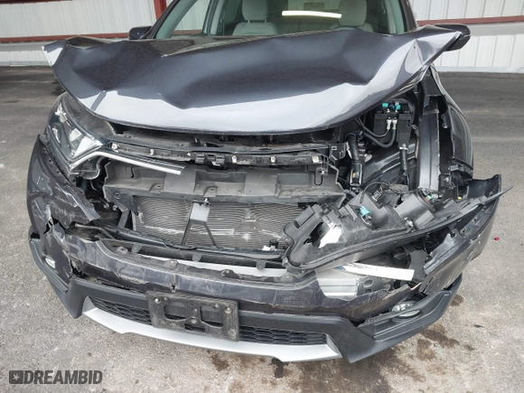 2019 Honda CR-V EX with VIN 7FARW2H5XKE043495, listed as a IAAI auction lot 41912819 with 57,848 mi miles. Bid and sale history available at carsss.com. Image 6.