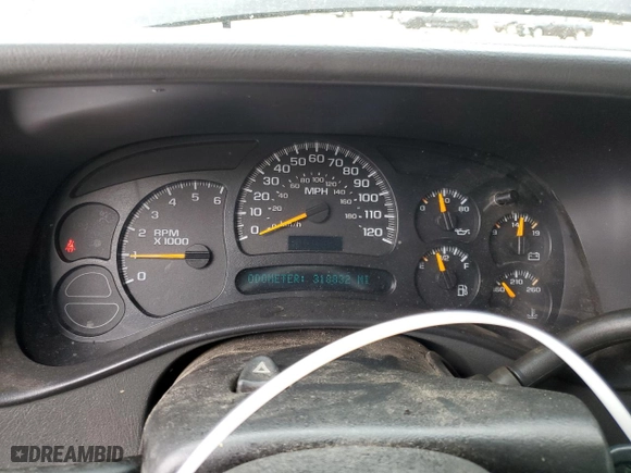 2005 Chevrolet Silverado 1500 LS with VIN 2GCEC13T351363025, listed as a Copart auction lot 49901065 with 318,832 mi miles and Salvage Title. Bid and sale history available at carsss.com. Image 9.