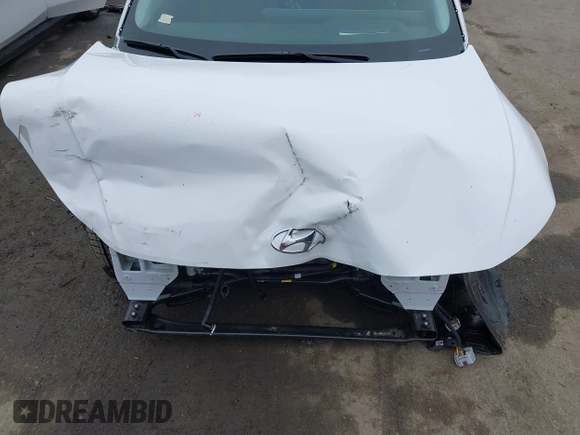 2024 Hyundai Ioniq 5 Limited z VIN KM8KR4DE8RU341059, wystawiony jako IAAI lot #42172937 z przebiegiem 3 480 mil mil oraz . Historia ofert i sprzedaży dostępna na DreamBid. Obrazek 20.